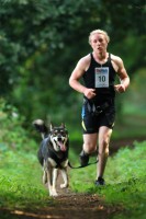 /album/fotogaleria8/one-of-akna-k9-academy-runners-with-a-csv-wolfdog-cross-also-owned-by-akna-k9-academy-jpg/